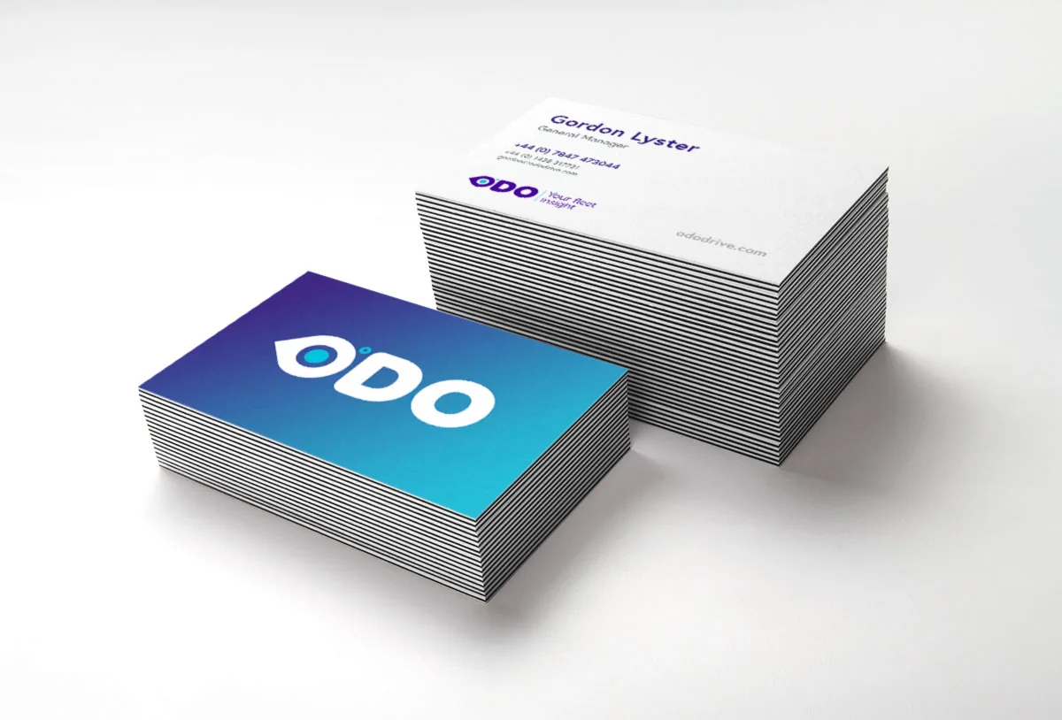 Drive Software Solutions — project work